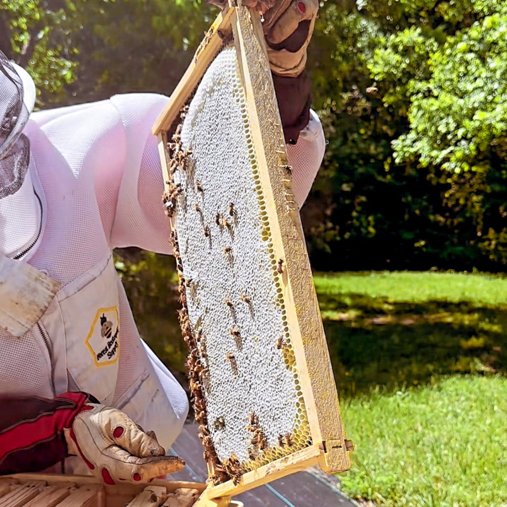 Honey Harvesting